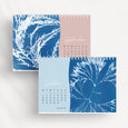 2025 Desk Calendar, British Seaweed Cyanotypes