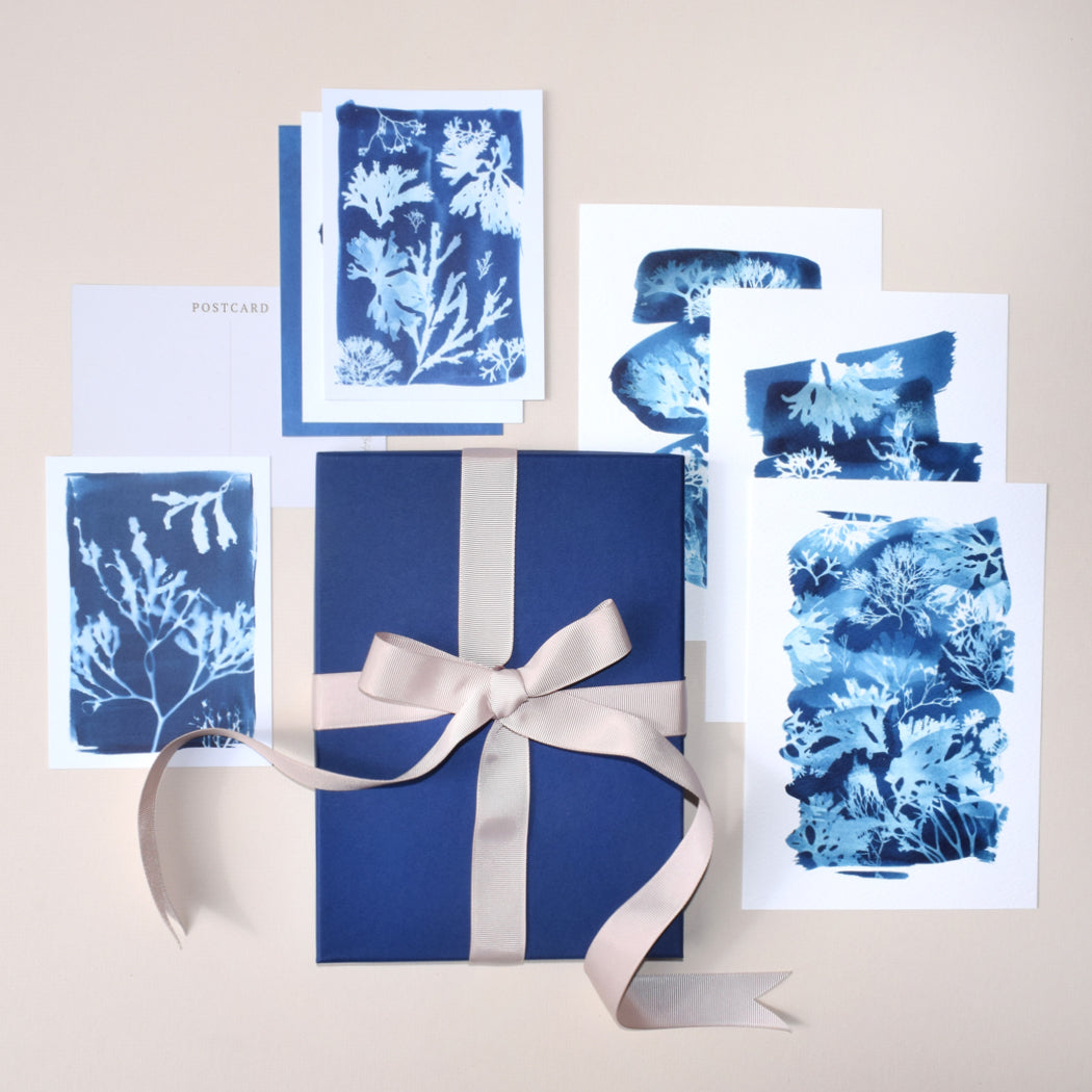 Our Art Print & Postcard Gift Set pairs our best selling British Seaweed prints with our matching Seaweed postcards. A perfect art and stationery gift for beach lovers and those who love the sea. Recipients can add to a gallery wall or use the postcards as note card stationery.