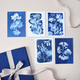 Our Art Print & Postcard Gift Set pairs our best selling British Seaweed prints with our matching Seaweed postcards. A perfect art and stationery gift for beach lovers and those who love the sea. Recipients can add to a gallery wall or use the postcards as note card stationery.