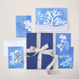 Our Calendar & Postcard Gift Set includes your favourite seaweed designs, pairing our 2025 Desk Calendar with our matching seaweed postcards.
