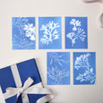 Our Calendar & Postcard Gift Set includes your favourite seaweed designs, pairing our 2025 Desk Calendar with our matching seaweed postcards.
