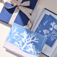 Our Calendar and Postcard Gift Set includes your favourite seaweed designs, pairing our 2025 Desk Calendar with our matching seaweed postcards.