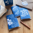 A seaweed greeting card featuring a seaweed cyanotype of Fan Weed and Siphon weed, found on the shorelines of Cornwall.