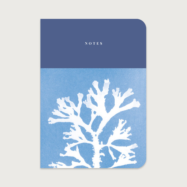A5 coastal notebook with a deep blue cyanotype fan weed print, perfect for journaling and sketching.