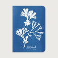 Our Seaweed trio coastal notebook features a cyanotype impression of seaweed pieces on the cover. Designed in our Cornwall studio from an original cyanotype image. 