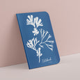 Our Seaweed trio coastal notebook features a cyanotype impression of seaweed pieces on the cover. Designed in our Cornwall studio from an original cyanotype image. 
