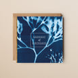 A seaweed greeting card featuring a cyanotype impression of real seaweed, with 'Happiest of Birthdays' text overlaying the image.
