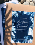british seaweed cyanotype postcard set, gift set, cornwall art, sea inspired stationery