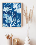 lowland point cyanotype print by paper birch