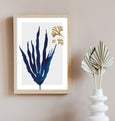 Blue Shoreline No.2 Coastal Print