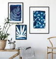 Cyanotype, botanical, fern wall art print made in Cornwall by Paper Birch