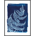 Cyanotype fern print made in Cornwall by Paper Birch
