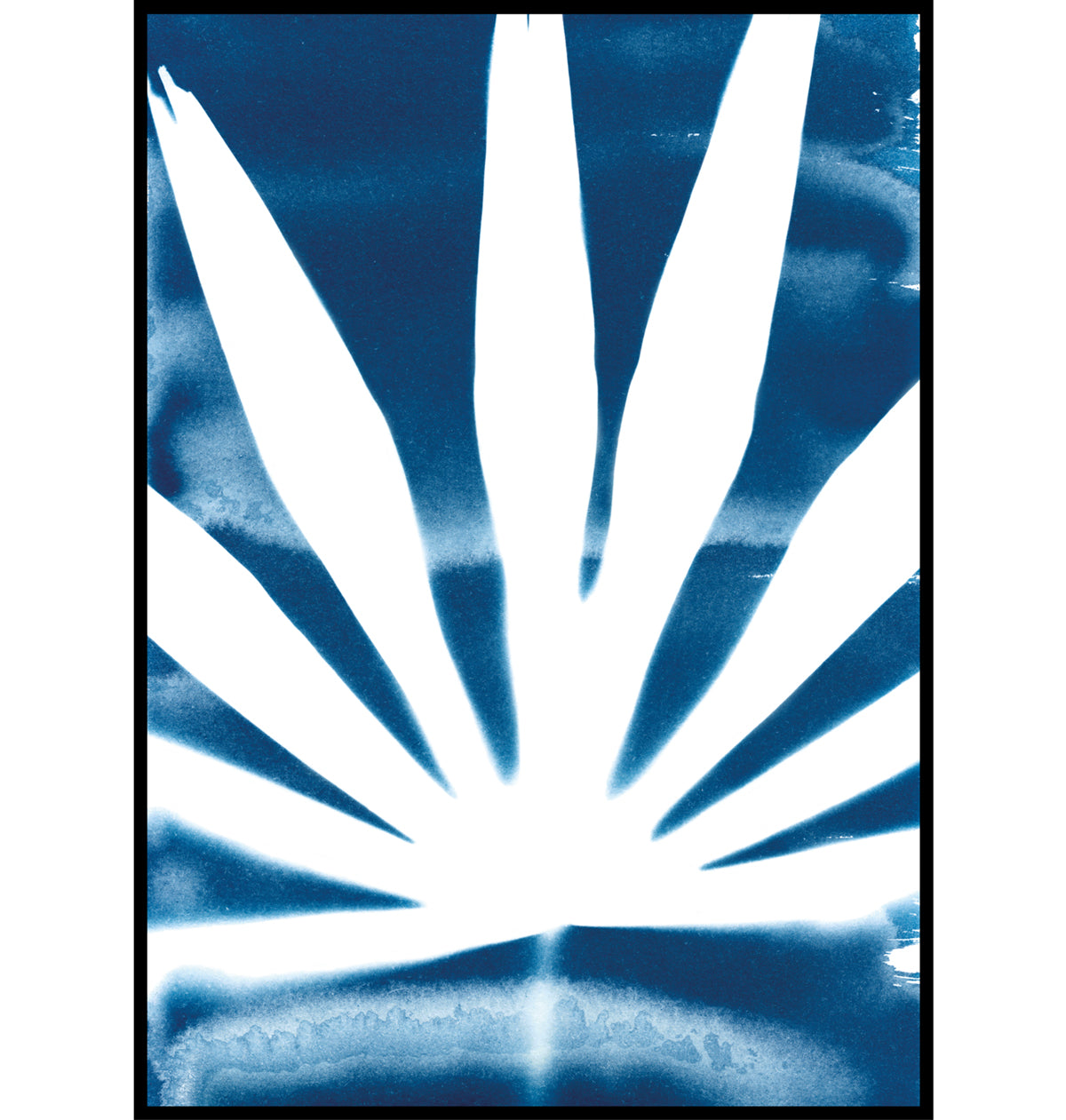 Palm Leaf Falmouth Cyanotype Botanical Wall Art Print Cornwall