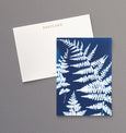 British Ferns - Pack of 5 postcards featuring cyanotype fern prints
