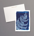 British Ferns - Pack of 5 postcards featuring cyanotype fern prints