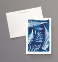 British Ferns - Pack of 5 postcards featuring cyanotype fern prints