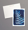 British Ferns - Pack of 5 postcards featuring cyanotype fern prints