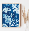 Blue cyanotype art print, featuring seaweed collected in Cornwall, UK. Displayed in a light wood frame. 