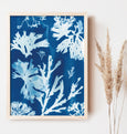 Blue cyanotype art print, featuring seaweed collected in Cornwall, UK. Displayed in a light wood frame.
