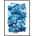 Cyanotype Seaweed Tideline wall art Print, made in Cornwall
