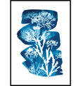 Cyanotype Seaweed Tideline Wall Decor