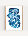 Set of 3 Seaweed Cyanotype Art Prints by Paper Birch