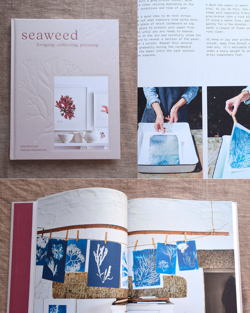 Seaweed: Foraging Collecting Pressing book feature