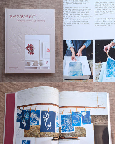 Seaweed Book feature Paper Birch