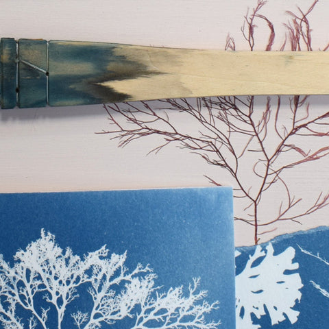 Seaweed art prints made from blue cyanotype impressions of real seaweed.