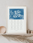 This 2024 Seaweed Yearly Calendar features a beautiful seaweed cyanotype, featuring pressed seaweed collected on the shorelines of Cornwall.