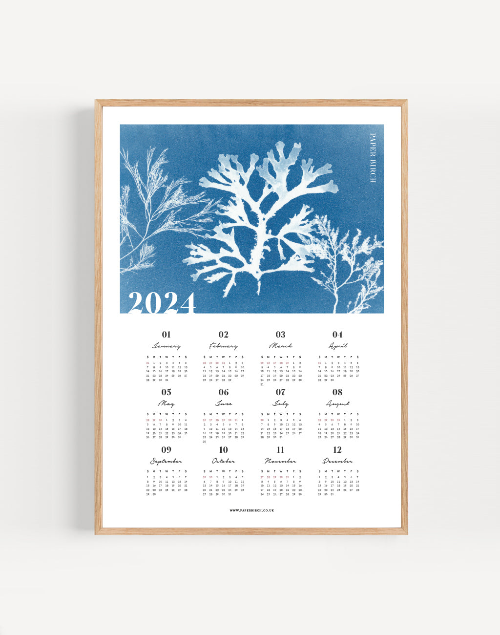 This 2024 Seaweed Yearly Calendar art print features a beautiful seaweed cyanotype, featuring pressed seaweed collected on the shorelines of Cornwall.