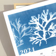 This 2024 Seaweed Yearly Calendar art print features a beautiful seaweed cyanotype, featuring pressed seaweed collected on the shorelines of Cornwall.