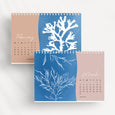 2025 Desk Calendar, British Seaweed Cyanotypes