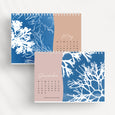 2025 Desk Calendar, British Seaweed Cyanotypes