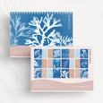 2025 Desk Calendar, British Seaweed Cyanotypes