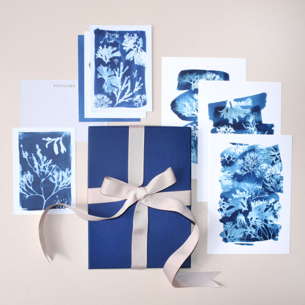 Our Art Print &amp; Postcard Gift Set pairs our best selling British Seaweed prints with our matching Seaweed postcards. A perfect art and stationery gift for beach lovers and those who love the sea. Recipients can add to a gallery wall or use the postcards as note card stationery.