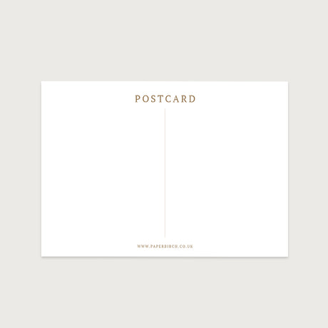 Seaweed Postcard Set | Set of 10 - Fan & Siphon Weed – Paper Birch