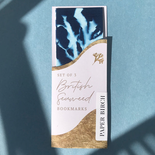 seaweed bookmarks set of 3 featuring cyanotype impressions of seaweed found in Cornwall,UK