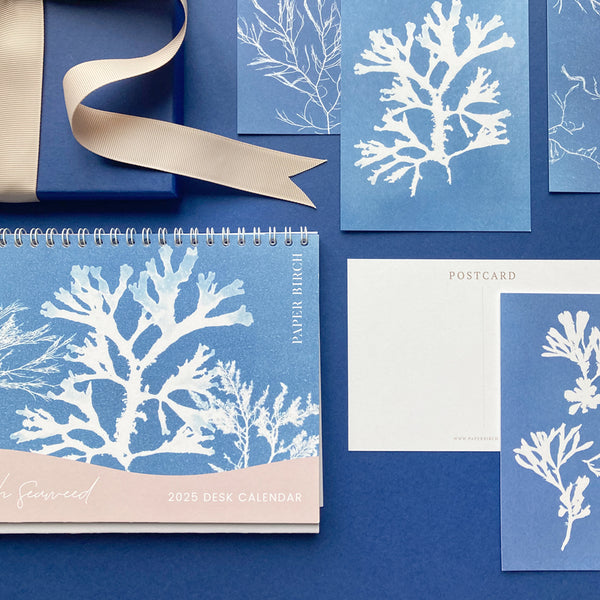 Our Calendar and Postcard Gift Set includes your favourite seaweed designs, pairing our 2025 Desk Calendar with our matching seaweed postcards.