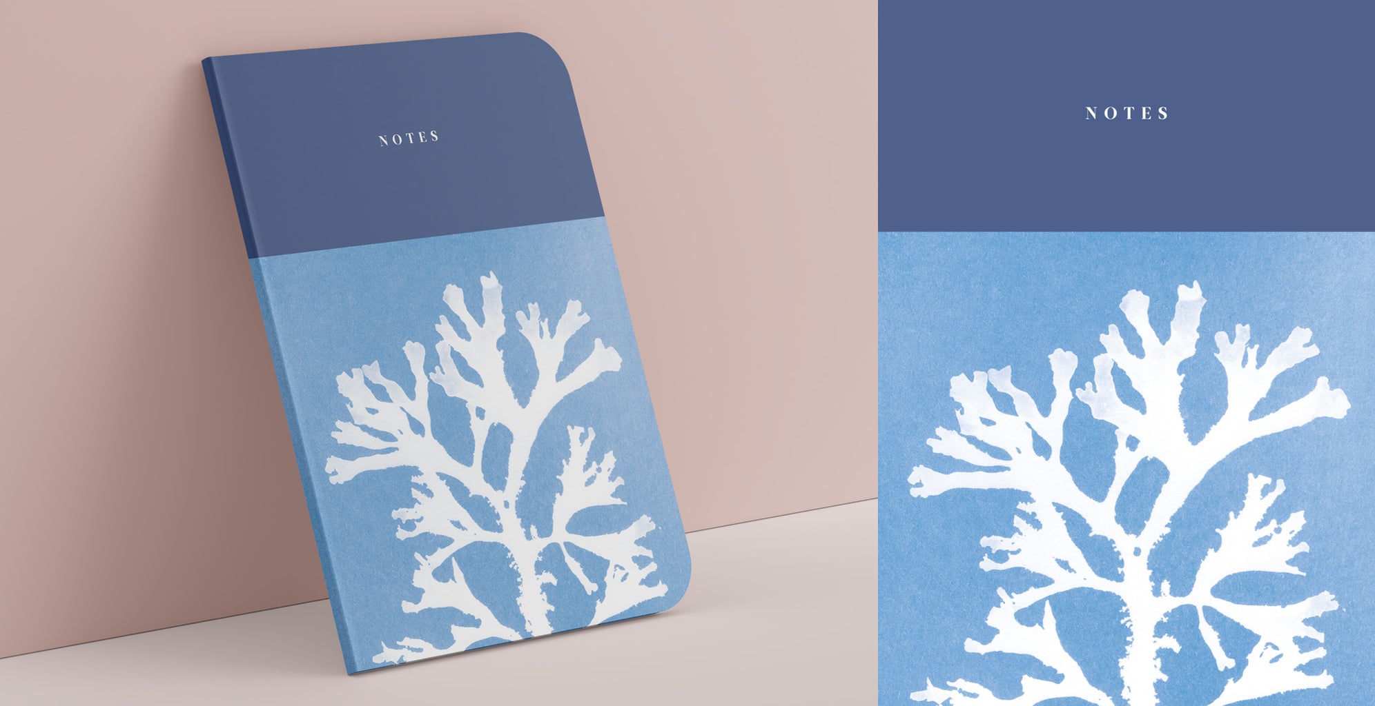Seaweed cyanotype art prints and coastal paper goods - Paper Birch