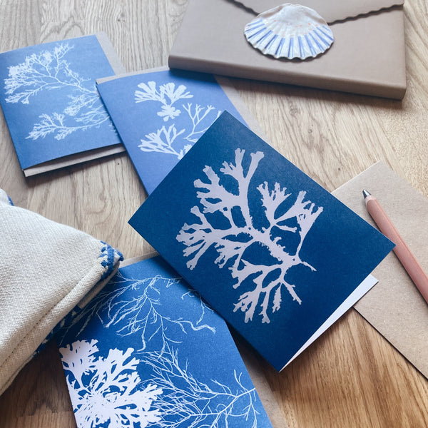 Seaweed Greeting Card - Fan Weed