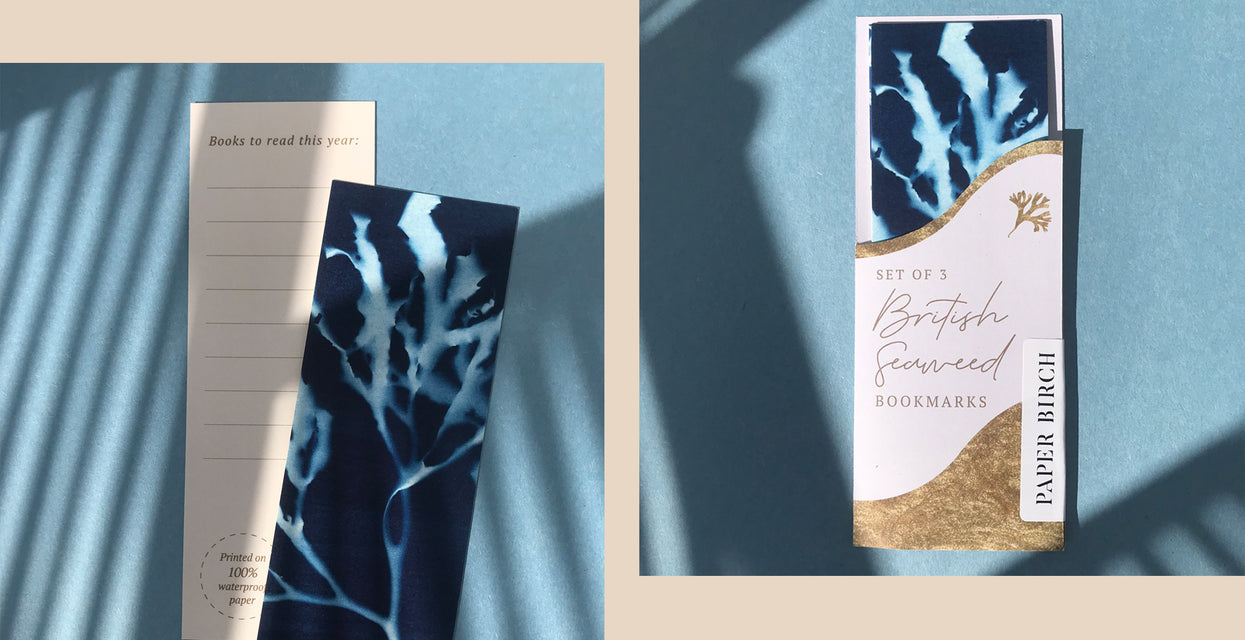 Cyanotype prints, paper goods, and coastal gifts inspired by the Cornish shoreline
