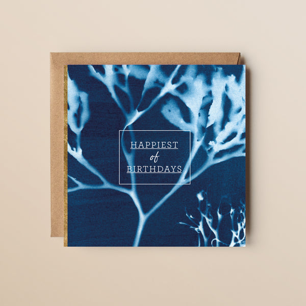 A seaweed greeting card featuring a cyanotype impression of real seaweed, with&nbsp;'Happiest of Birthdays' text overlaying the image.