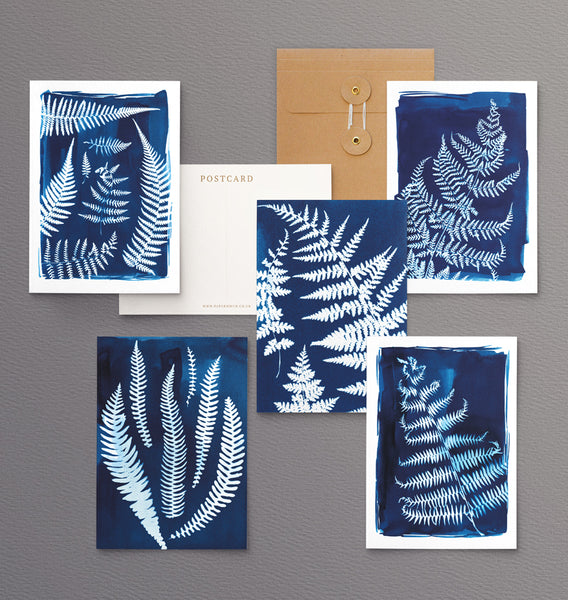 British Ferns - Pack of 5 postcards featuring cyanotype fern prints