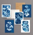 british seaweed cyanotype postcard set, gift set, cornwall art, sea inspired stationery