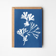 Seaweed Greeting Card - Serrated Wrack