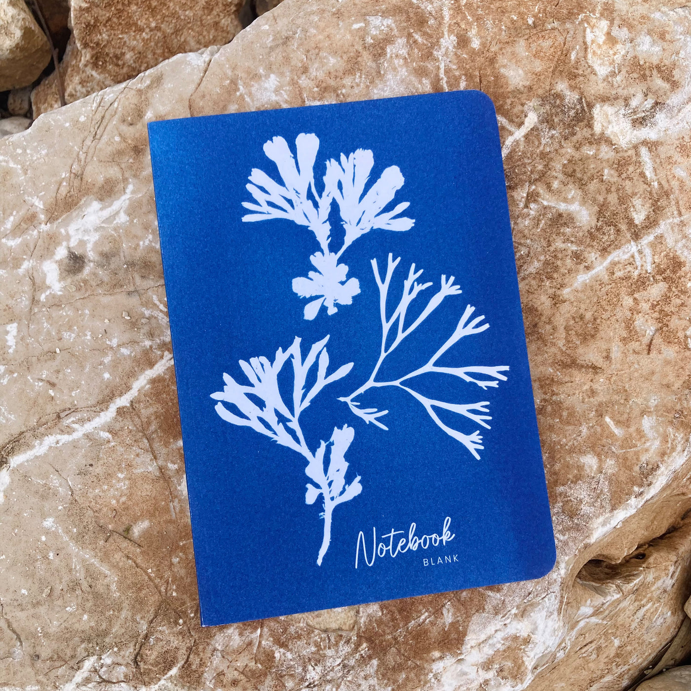 Seaweed Trio Coastal Notebook