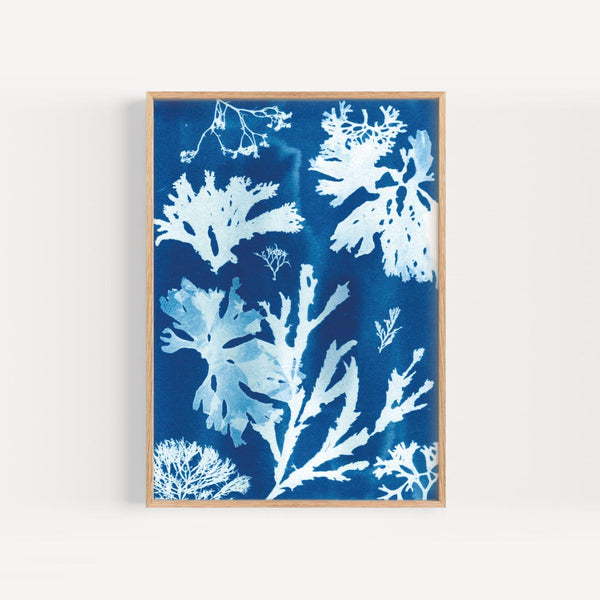 Seaweed Print - Collection by paper birch