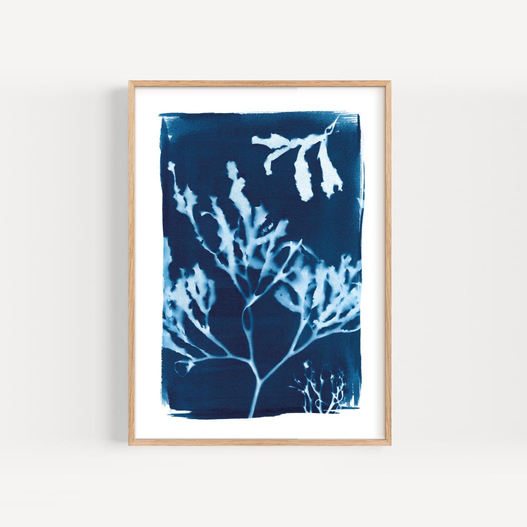 seaweed print Gyllyngvase falmouth by paper birch