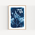 seaweed print Gyllyngvase falmouth by paper birch